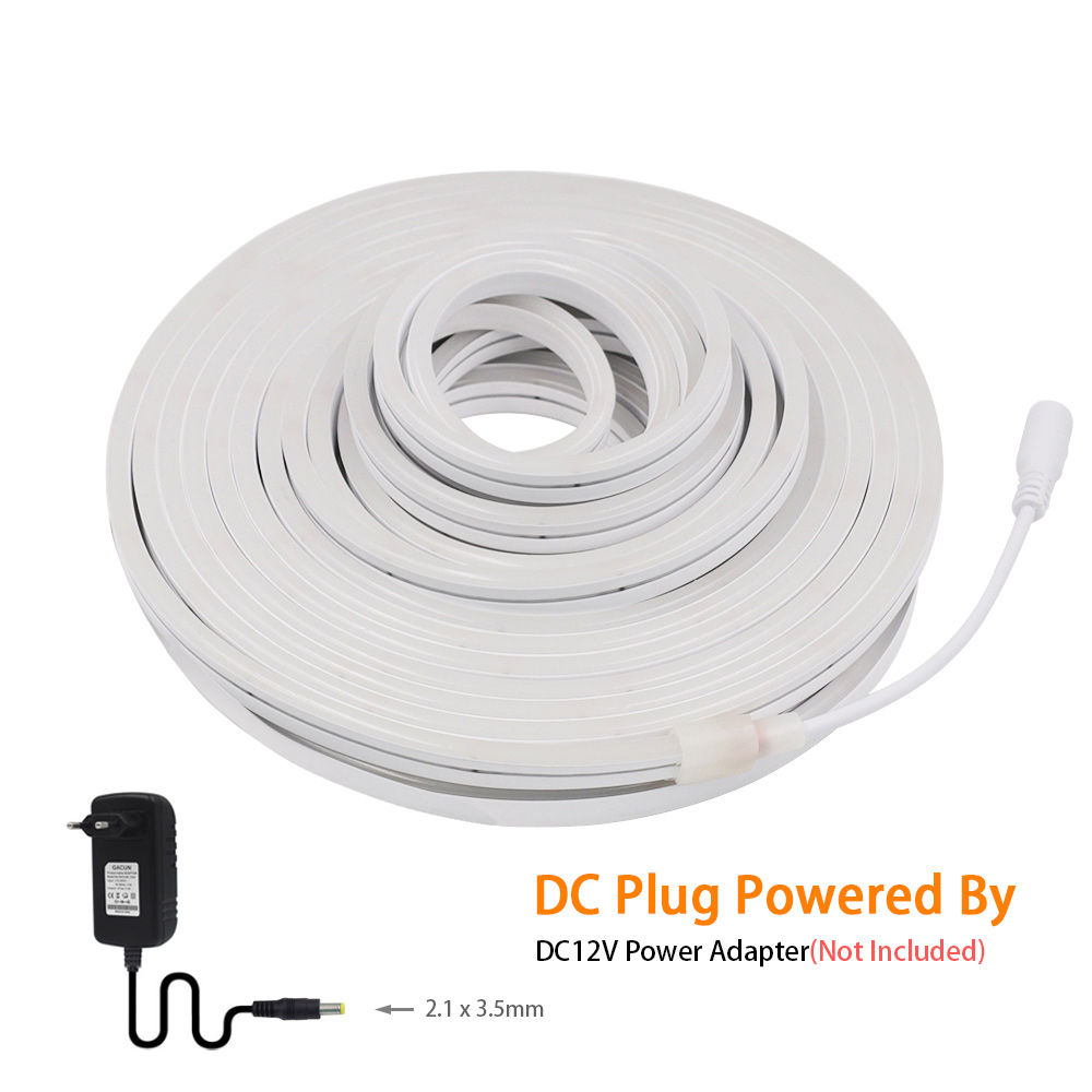 DC 12V LED Neon Strip Light Ne - Decor Lighting Hours recension och pris