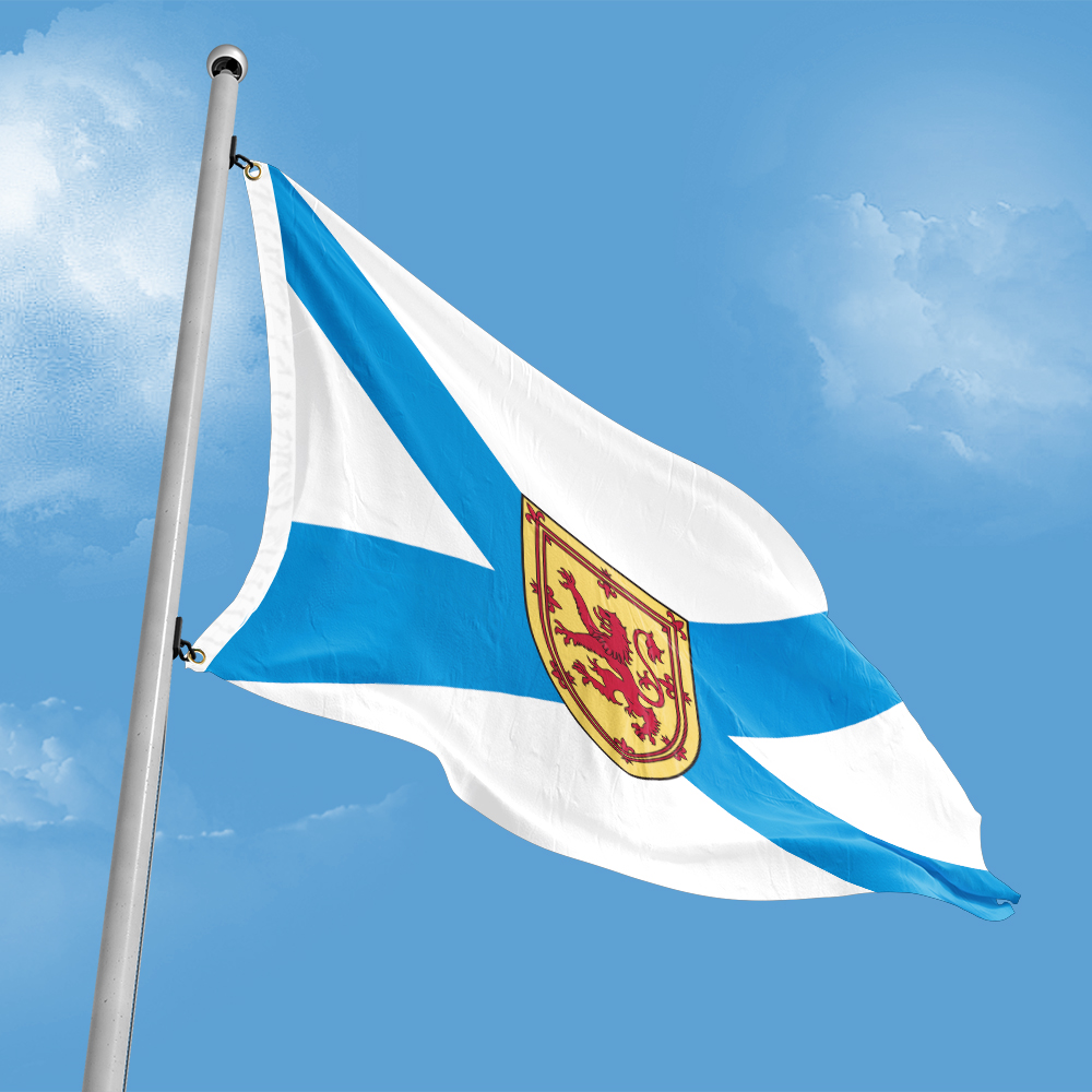 Canada Flag of Nova Scotia 3ft - Nova Decor & Lighting Vase recension och pris